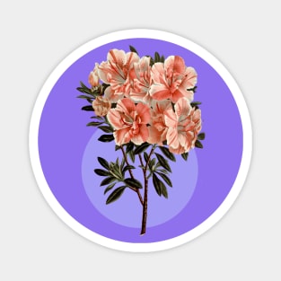 Blue and pink azalea design Magnet